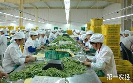 以技術(shù)集成基地為引擎 推動農(nóng)產(chǎn)品加工產(chǎn)業(yè)轉(zhuǎn)型升級