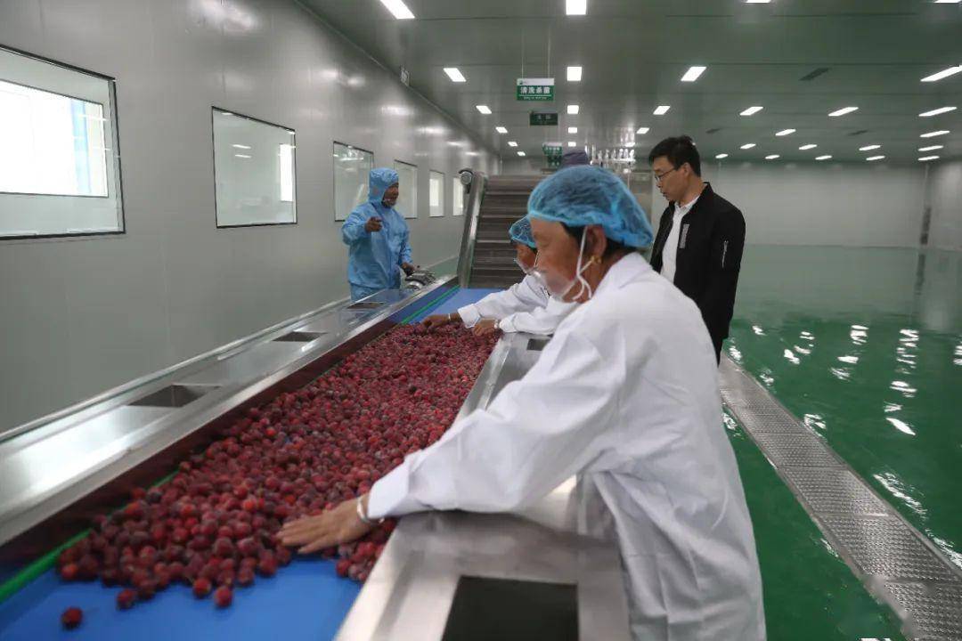 清水河縣 以綠色農(nóng)產(chǎn)品加工產(chǎn)業(yè)園為引擎，譜寫鄉(xiāng)村產(chǎn)業(yè)振興新篇章