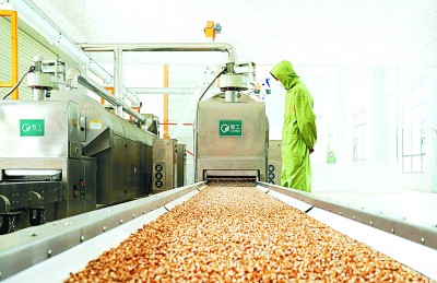 全面小康 一起幸福 | 上海援疆 以農產品深加工為引擎，開啟鄉村振興新篇章